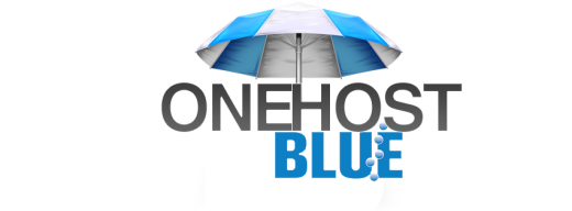 ONeHost.Blue in Kings County City, New York, United States - #2 Photo of Point of interest, Establishment