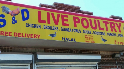 S & D Live Poultry Market in Jamaica City, New York, United States - #2 Photo of Food, Point of interest, Establishment, Store, Grocery or supermarket