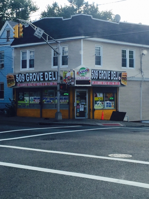 509 Grove Deli in Irvington City, New Jersey, United States - #2 Photo of Food, Point of interest, Establishment, Store