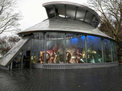 SeaGlass Carousel in New York City, New York, United States - #2 Photo of Point of interest, Establishment