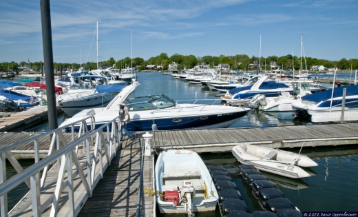 Photo by David Oppenheimer for Mamaroneck Boats & Motors