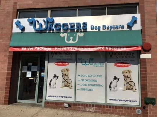 Veterinary Care Group Bayside in Queens City, New York, United States - #3 Photo of Point of interest, Establishment, Veterinary care