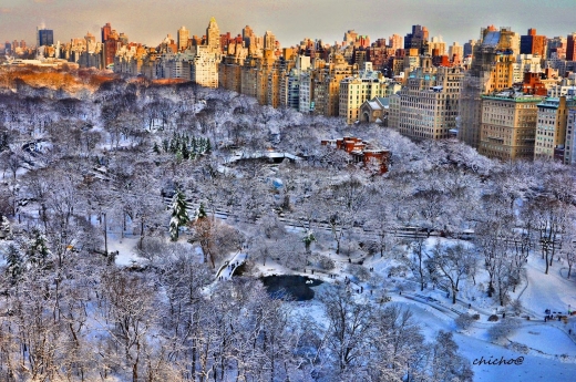 The Ritz-Carlton Residences in New York City, New York, United States - #3 Photo of Point of interest, Establishment