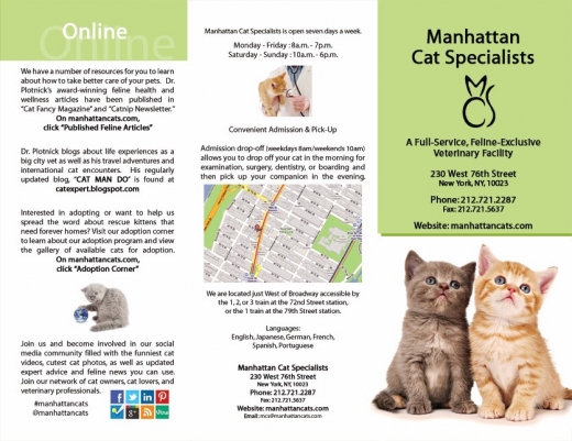 Manhattan Cat Specialists in New York City, New York, United States - #4 Photo of Point of interest, Establishment, Veterinary care