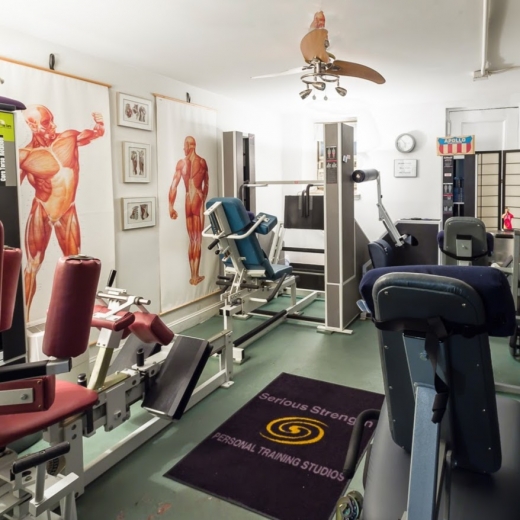 Serious Strength Personal Training in New York City, New York, United States - #1 Photo of Point of interest, Establishment, Health, Gym