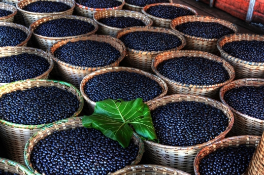 Açai @NewYork in New York City, New York, United States - #2 Photo of Food, Point of interest, Establishment, Store, Health