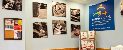 Battery Park Veterinary Hospital in New York City, New York, United States - #4 Photo of Point of interest, Establishment, Health, Dentist, Veterinary care