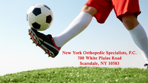 New York Orthopedic Specialists - Scott V. Haig in Scarsdale City, New York, United States - #2 Photo of Point of interest, Establishment, Health, Doctor
