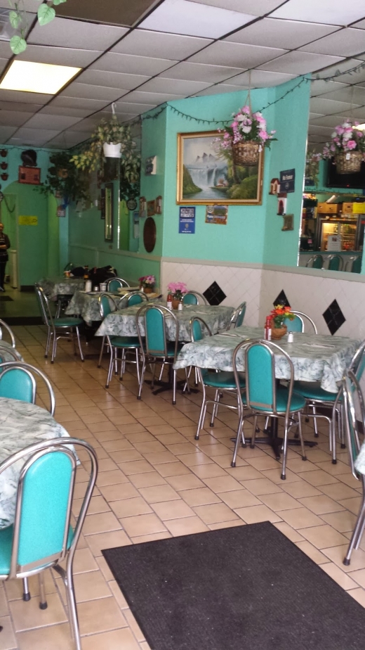 La Palma Restaurant 1 in Queens City, New York, United States - #1 Photo of Restaurant, Food, Point of interest, Establishment