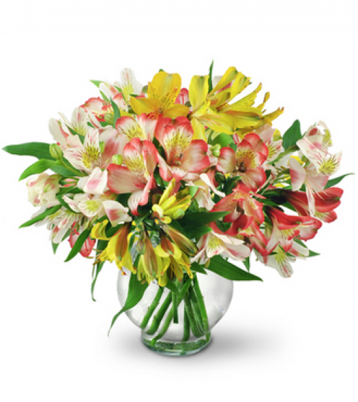 Photo by <br />
<b>Notice</b>:  Undefined index: user in <b>/home/www/activeuser/data/www/vaplace.com/core/views/default/photos.php</b> on line <b>128</b><br />
. Picture for Ridgefield Florist in Ridgefield City, New Jersey, United States - Point of interest, Establishment, Store, Florist