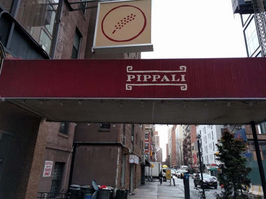 Pippali in New York City, New York, United States - #3 Photo of Restaurant, Food, Point of interest, Establishment