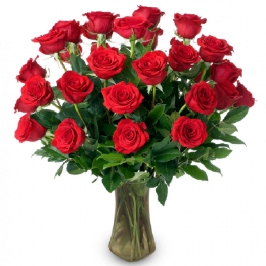 Photo by <br />
<b>Notice</b>:  Undefined index: user in <b>/home/www/activeuser/data/www/vaplace.com/core/views/default/photos.php</b> on line <b>128</b><br />
. Picture for Flowers Vibe Inc. in Uniondale City, New York, United States - Point of interest, Establishment, Store, Florist