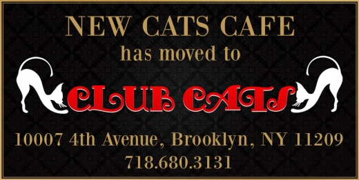 Photo by <br />
<b>Notice</b>:  Undefined index: user in <b>/home/www/activeuser/data/www/vaplace.com/core/views/default/photos.php</b> on line <b>128</b><br />
. Picture for Cats on the Bay in Brooklyn City, New York, United States - Restaurant, Food, Point of interest, Establishment, Bar