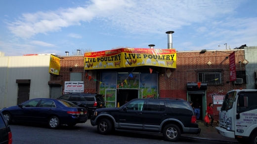 Saba Live Poultry in Kings County City, New York, United States - #1 Photo of Food, Point of interest, Establishment