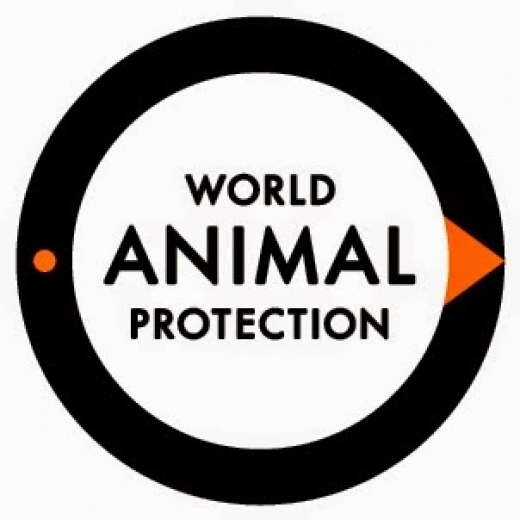 World Animal Protection USA in New York City, New York, United States - #2 Photo of Point of interest, Establishment