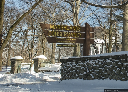 Marshlands Conservancy in Rye City, New York, United States - #4 Photo of Point of interest, Establishment, Park