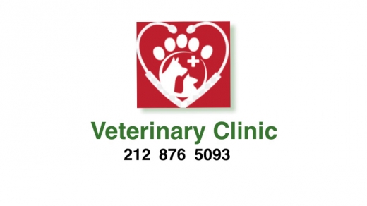 Photo by <br />
<b>Notice</b>:  Undefined index: user in <b>/home/www/activeuser/data/www/vaplace.com/core/views/default/photos.php</b> on line <b>128</b><br />
. Picture for Ideal Pet Veterinary Clinic in New York City, New York, United States - Point of interest, Establishment, Health, Veterinary care