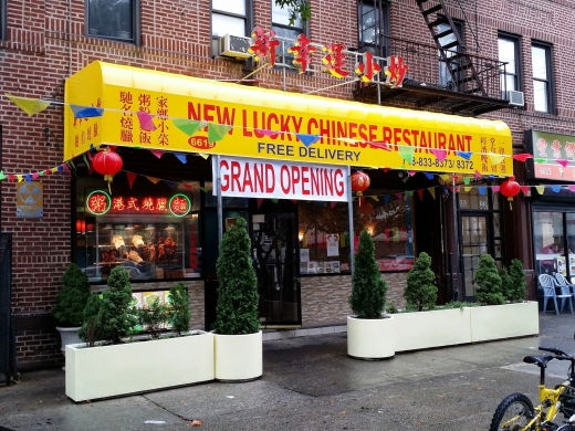 New Lucky in Kings County City, New York, United States - #1 Photo of Restaurant, Food, Point of interest, Establishment