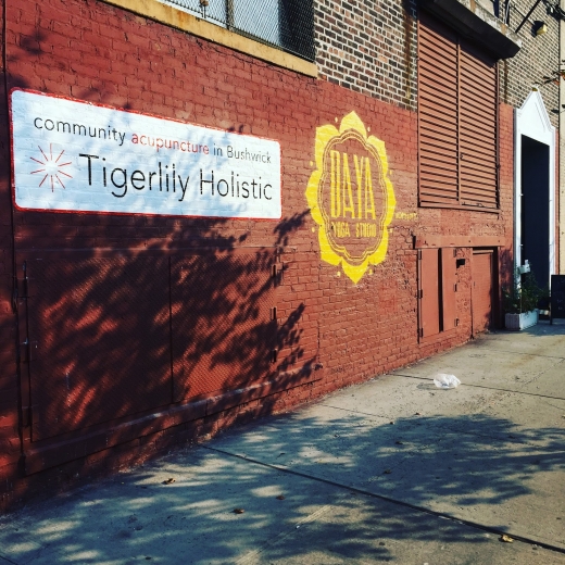 Tigerlily Holistic, community acupuncture in Bushwick in Kings County City, New York, United States - #2 Photo of Point of interest, Establishment, Health