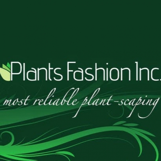 Photo by plantsfashion Inc for plantsfashion Inc