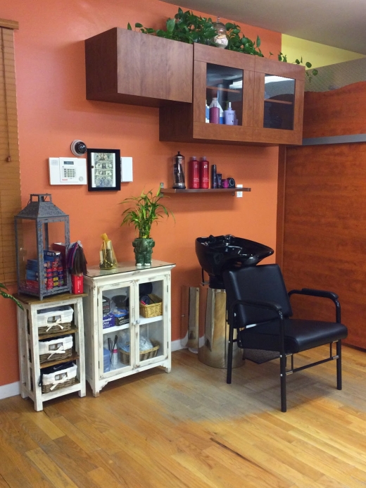 Sunset Tans Salon , Inc in Newark City, New Jersey, United States - #1 Photo of Point of interest, Establishment, Health, Spa, Beauty salon, Hair care