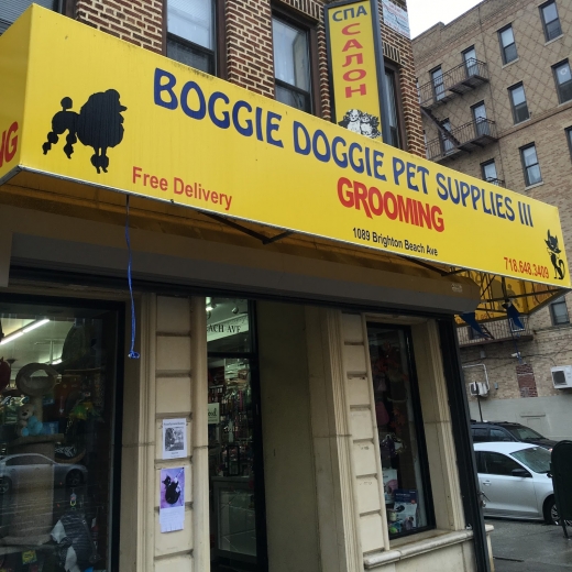 Boggie Doggie 3 in New York City, New York, United States - #1 Photo of Point of interest, Establishment, Store