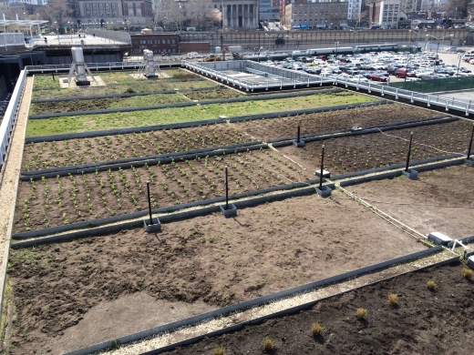 The Living Roof by living-restoration.com in Staten Island City, New York, United States - #3 Photo of Point of interest, Establishment, Park