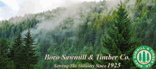 Boro Sawmill & Timber in Wayne City, New Jersey, United States - #2 Photo of Point of interest, Establishment, General contractor
