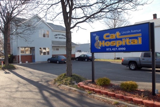 Lincoln Avenue Cat Hospital in Fair Lawn City, New Jersey, United States - #1 Photo of Point of interest, Establishment, Veterinary care