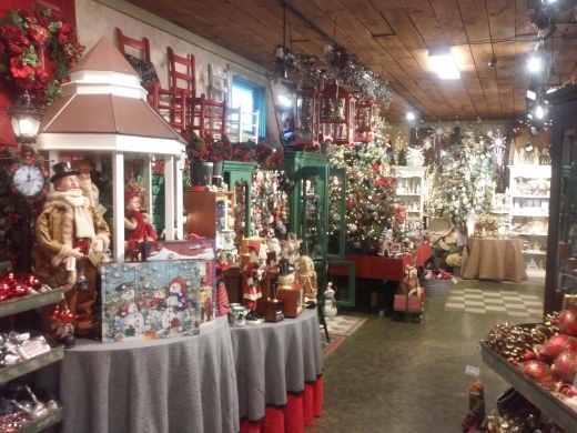 Martin Viette Nurseries in East Norwich City, New York, United States - #2 Photo of Food, Point of interest, Establishment, Store