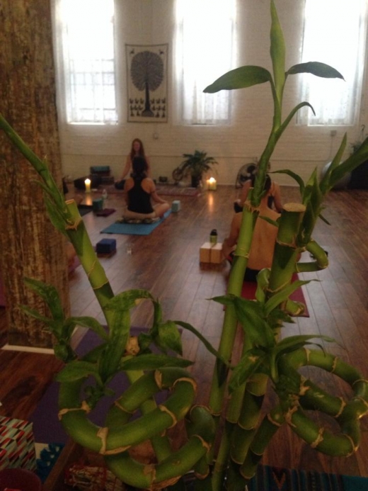 Daya Yoga Studio in Kings County City, New York, United States - #4 Photo of Point of interest, Establishment, Health, Gym