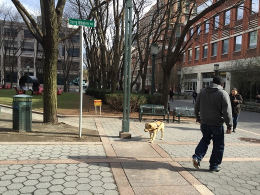 MetroTech Commons in New York City, New York, United States - #3 Photo of Point of interest, Establishment, Park