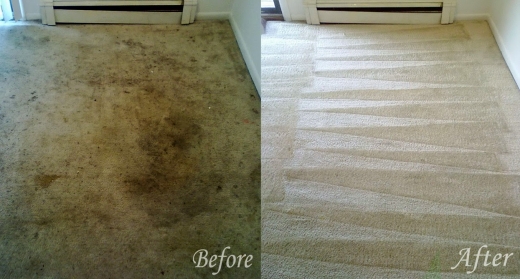 Photo by Cleaning New York Carpet & Rug Cleaning for Cleaning New York Carpet & Rug Cleaning