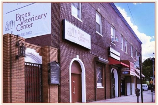 Bronx Veterinary Center in Bronx City, New York, United States - #1 Photo of Point of interest, Establishment, Health, Veterinary care