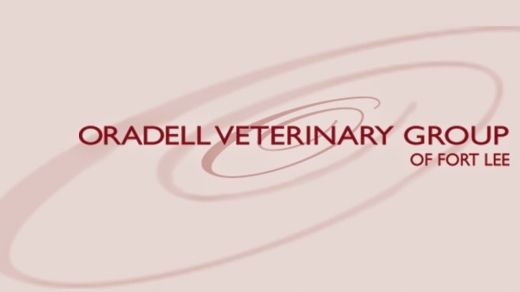 Fort Lee-Oradell Veterinary in Fort Lee City, New Jersey, United States - #2 Photo of Point of interest, Establishment, Veterinary care