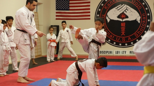 Kanku Dai Zanshin Dojo Karate School & Zumba Fitness Studio in Kings County City, New York, United States - #3 Photo of Point of interest, Establishment, Health, Gym