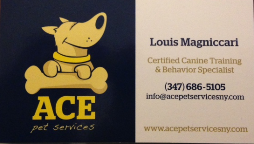 Ace Pet Services NY in Kings County City, New York, United States - #3 Photo of Point of interest, Establishment