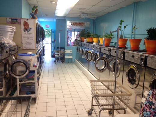 Photo by Fred Violeta for Davis Laundromat Center