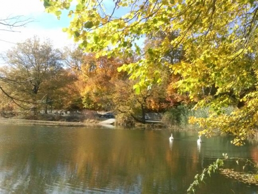 Crocheron Park in Bayside City, New York, United States - #2 Photo of Point of interest, Establishment, Park