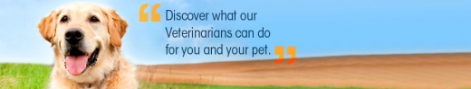 Elizabeth Veterinary Clinic in Roselle City, New Jersey, United States - #2 Photo of Point of interest, Establishment, Veterinary care