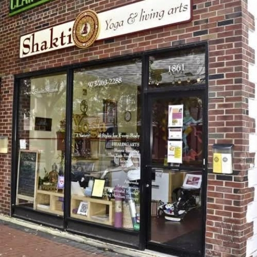 Shakti Yoga & Living Arts in Maplewood City, New Jersey, United States - #1 Photo of Point of interest, Establishment, Health, Gym