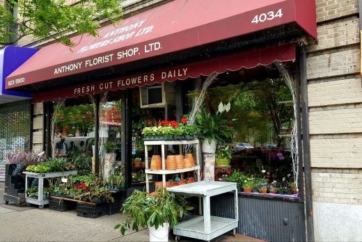 Anthony Flower Shop in New York City, New York, United States - #1 Photo of Point of interest, Establishment, Store, Florist