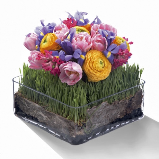 Photo by <br />
<b>Notice</b>:  Undefined index: user in <b>/home/www/activeuser/data/www/vaplace.com/core/views/default/photos.php</b> on line <b>128</b><br />
. Picture for Ariston Florist in New York City, New York, United States - Point of interest, Establishment, Store, Florist