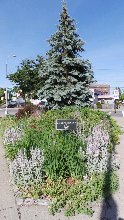 Boston Garden in Bronx City, New York, United States - #1 Photo of Point of interest, Establishment, Park