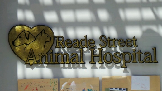 Reade Street Animal Hospital in New York City, New York, United States - #2 Photo of Point of interest, Establishment, Veterinary care