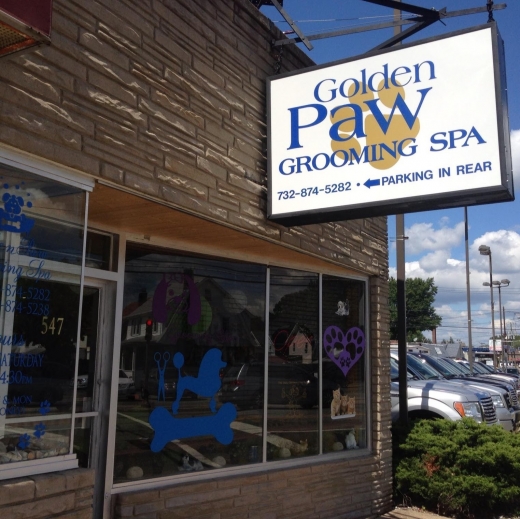 Golden Paw Spa in Woodbridge Township City, New Jersey, United States - #1 Photo of Point of interest, Establishment