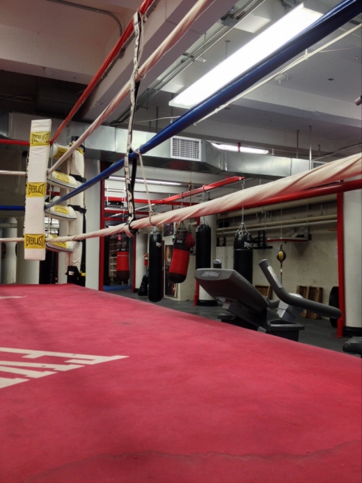 Mendez Boxing in New York City, New York, United States - #3 Photo of Point of interest, Establishment, Health, Gym