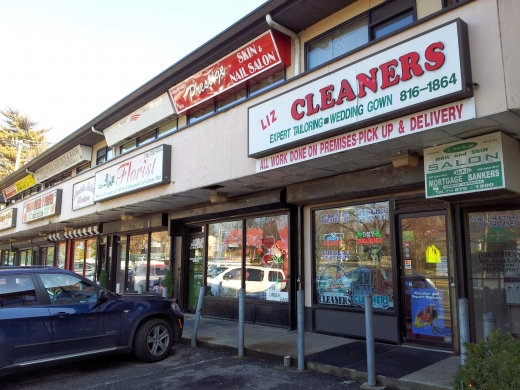 Liz Custom Cleaners Inc. in Richmond City, New York, United States - #1 Photo of Point of interest, Establishment, Laundry