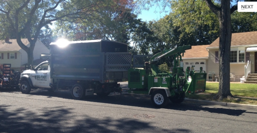 Big Foot Tree Service LLC in Wayne City, New Jersey, United States - #4 Photo of Point of interest, Establishment