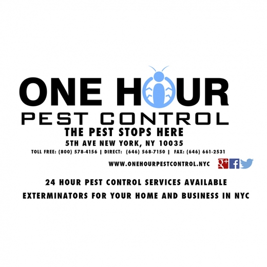 Photo by One Hour Pest Control for One Hour Pest Control